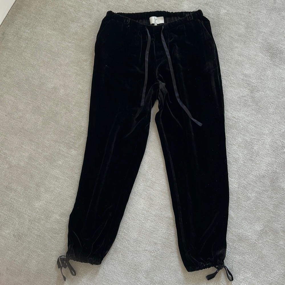 NWT Joie Dyre Velvet Pants Size S